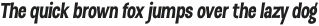 D Sert Black Italic otf (900)