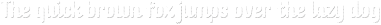 Checkin Script Shadow Line otf (400) Sample