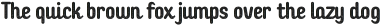 Checkin Script Texture otf (400)