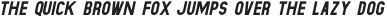 Dufranse Heavy Italic otf (800)