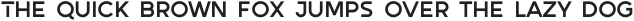 Autorich Sans Lite ttf (400)