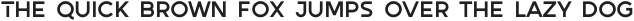 Autorich Sans Lite otf (400)