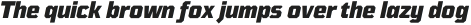 TT Mussels ExtraLight Italic otf (200)