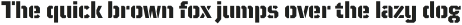 TT Mussels Light Italic otf (300)