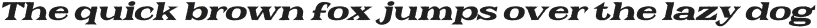 Galeno Rough Italic otf (400)
