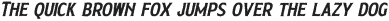 Galeum Rough Italic otf (400)