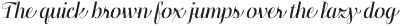 Felis Script otf (300)