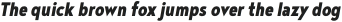 Noyh Geometric Slim Heavy Italic otf (800)