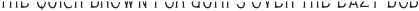 LesterFont LightFX otf (300)