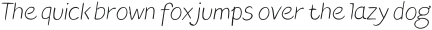 Blushes Light Italic ttf (300)