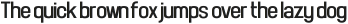 Front Page Supplement otf (400)