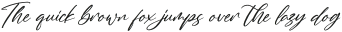 Summer Clarisa Italic otf (400)