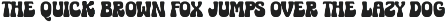 MAGIC FLOWER - GROOVY FONT preview