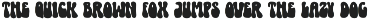 NEWBIE a Cute Groovy Retro Font preview