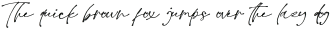 Checkpoint Regular otf (400) Sample