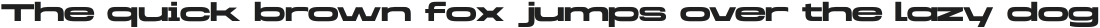 Brachial Bold - Semi Wide otf (700)