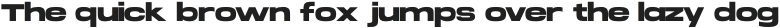 Brachial Bold otf (700)