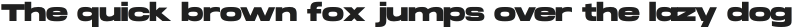 Brachial UltraBold otf (700)