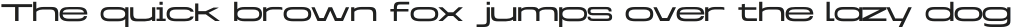 Brachial Light - Semi Wide otf (300)