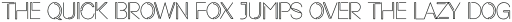 Neon Light Regular otf (300)