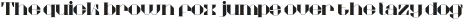TT_Akadis-Neue Regular otf (400)