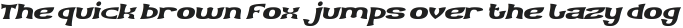 ARCHER Italic otf (400)