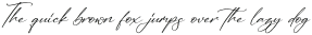 Ruliena Italic otf (400)