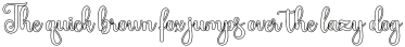 Stylisty Script Outline otf (400)