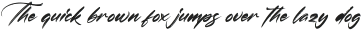 Predikat Oneday Italic otf (400)