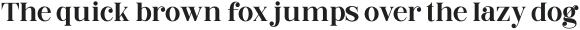 BalginoDisplay-Bold otf (700)