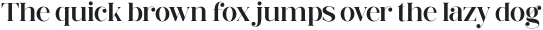 BalginoDisplay-Regular otf (400)