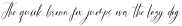 Sunset Imaginary Script otf (400)