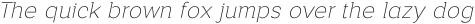 Alaturka 2023 Normal Thin Italic otf (100)