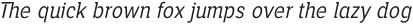 Alaturka 2023 Narrow Light Italic otf (300)