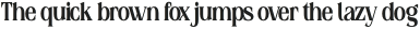 Raiken Medium Condensed otf (500)