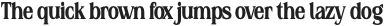 Raiken Bold Condensed otf (700)