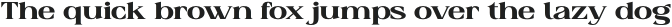 Raiken Medium Expanded otf (500)