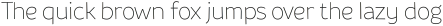 Souses Thin ttf (100)