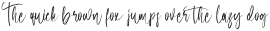 Shadow Puppet otf (400)
