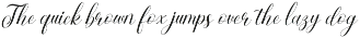 Summer Time Bundle - Script Bundle preview