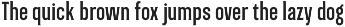 Green Grove // 3 fonts preview