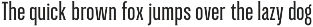 Green Grove // 3 fonts preview