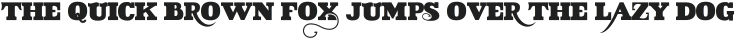 VIDIZ ssI ttf (400)