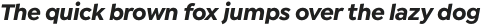Isidora Sans Bold It otf (700)