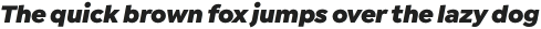 Isidora Sans Black It otf (900)