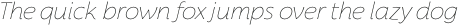 Florentia Thin Italic otf (100)