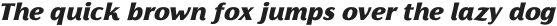 Florentia Black Italic otf (900)