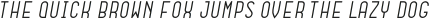 Dianna Regular Italic otf (400)