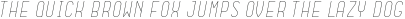 Dianna Light Italic otf (300)