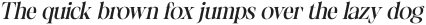 Gamilia Rough Italic otf (400)
